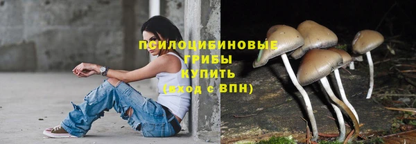 бошки Балахна